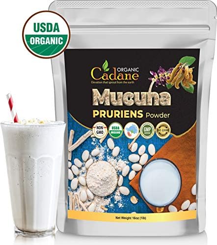 Organic Cadane Mucuna Pruriens Powder 1 Pound   Promotes Brain Health  Supports Immune System  Energy   USDA Certified Vegan Friendly Supplements   Pure Natural Velvet Beans Extract from India