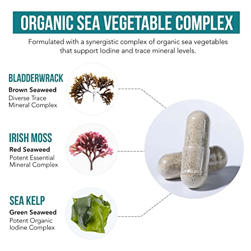 Organic Iodine Supplement from Sea Vegetable Complex  Whole Food & Raw Form   Iodine Plus Trace Mineral Complex   Contains Purest Icelandic Sea Kelp  Irish Moss & Bladderwrack  250 mcg 