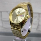 Orient TriStar Rare RA AB0E13G1BD Automatic Gold Tone Champagne Dial Mens Watch