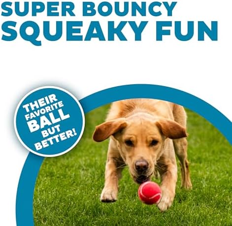 Outward Hound Squeaker Ballz   Squeaky Tennis Balls for Dogs Under 50 lbs  Interactive Dog Toy for Fetch & Training  Medium  2 5   4 Pack