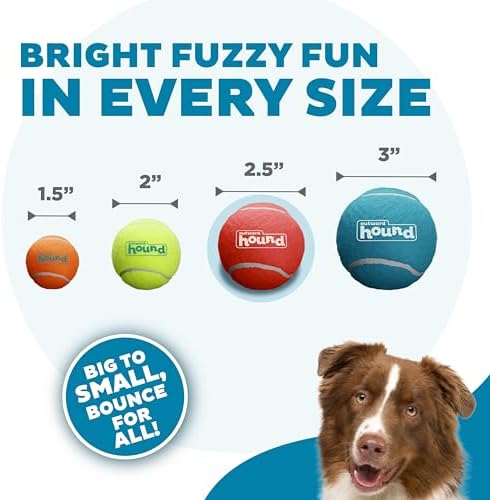 Outward Hound Squeaker Ballz   Squeaky Tennis Balls for Dogs Under 50 lbs  Interactive Dog Toy for Fetch & Training  Medium  2 5   4 Pack