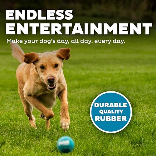Outward Hound Squeaker Ballz   Squeaky Tennis Balls for Dogs Under 50 lbs  Interactive Dog Toy for Fetch & Training  Medium  2 5   4 Pack