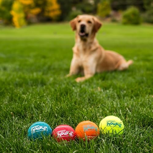 Outward Hound Squeaker Ballz   Squeaky Tennis Balls for Dogs Under 50 lbs  Interactive Dog Toy for Fetch & Training  Medium  2 5   4 Pack