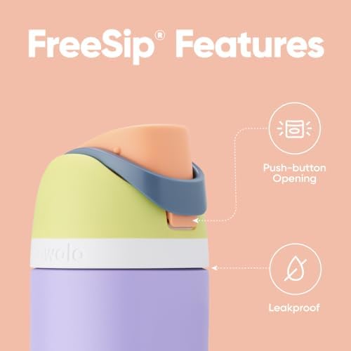 Owala FreeSip Insulated Stainless Steel Water Bottle with Straw for Sports  Travel  and School BPA Free Sports Water Bottle  32 oz  Beach House