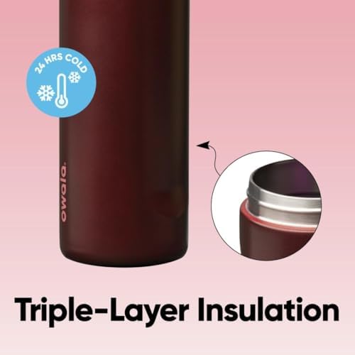 Owala FreeSip Insulated Stainless Steel Water Bottle with Straw  BPA Free Sports Water Bottle  Great for Travel  24 Oz  Black Cherry