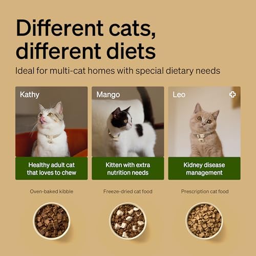 PETLIBRO Automatic Cat Feeders for 2 Cats  RFID Collar Tag for Exclusive Meals  Cats Recognition to Stop Food Stealing  Diet Tracking for Multi Pet Homes and Different Diets  Pet Feeder Pack of 2