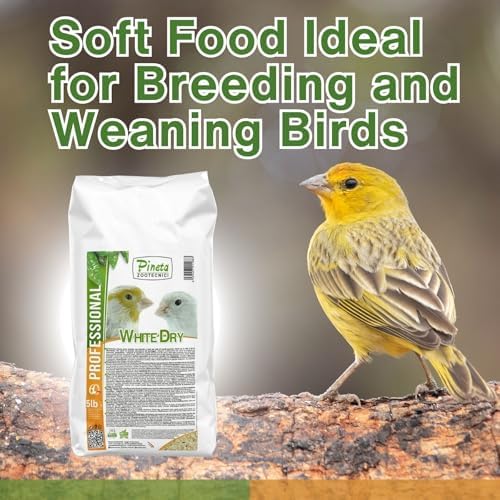 PINETA White Dry Bird Food 5 Lbs   Finch Food  Nutrient Rich Blend Bird Seed for Finches and Small Birds  Support Daily Energy  Balanced Growth Diet & Healthy Food