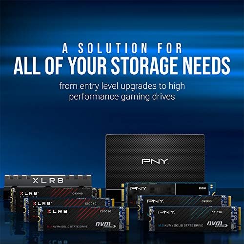 PNY CS900 2TB 3D NAND 2 5 SATA III Internal Solid State Drive  SSD     SSD7CS900 2TB RB