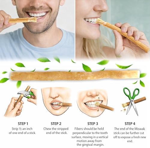 Pack of 5 Miswak Sticks for Teeth with 1 Holder   Natural Toothbrush Stick for Teeth Whitening & Healthy Gums   Vacuum Sealed Sewak Sticks for Teeth   Peelu Wood Miswak Toothbrush