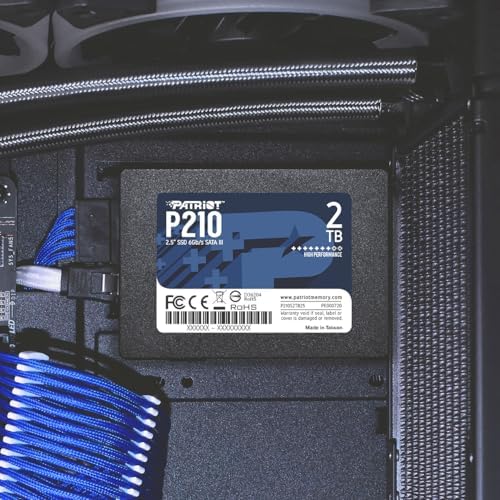 Patriot Memory P210 SATA 3 256GB SSD 2 5 Inch Internal Solid State Drive 10 Pack  Lot of 10   P210S256G2510
