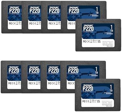 Patriot Memory P220 256GB Internal SSD   SATA 3 2 5   Solid State Drive Retail 10 Pack   P220S256G2510