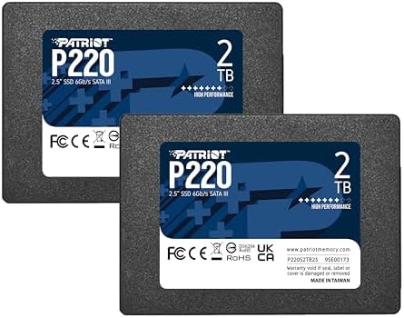 Patriot Memory P220 256GB Internal SSD   SATA 3 2 5   Solid State Drive Retail 10 Pack   P220S256G2510