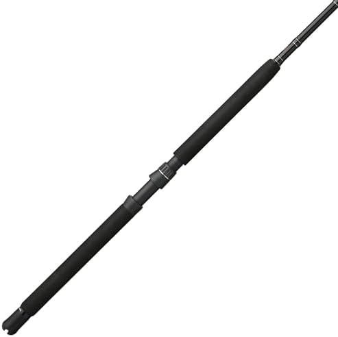 Penn Escuadrón IV Barco Caña de pescar convencional