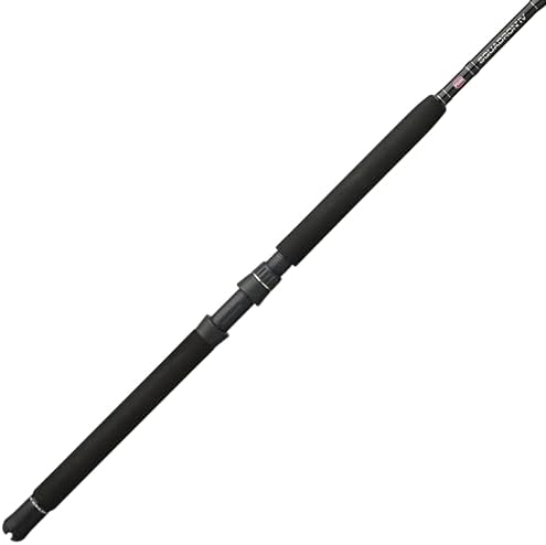 Penn Escuadrón IV Barco Caña de pescar convencional