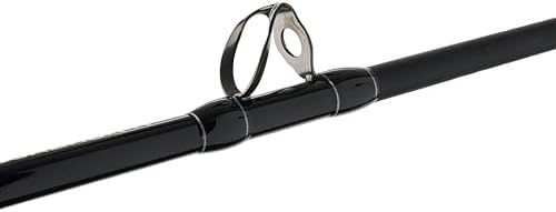 Penn Escuadrón IV Barco Caña de pescar convencional