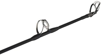 Penn Escuadrón IV Barco Caña de pescar convencional