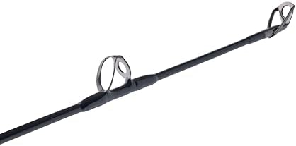 Penn Warfare II Star Drag Conventional Reel and Fishing Rod Combo