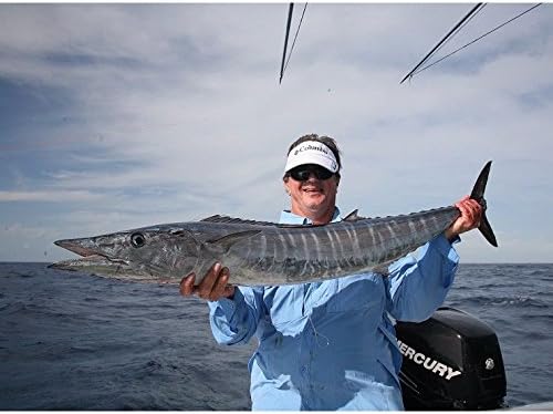 Penn Warfare II Star Drag Conventional Reel and Fishing Rod Combo