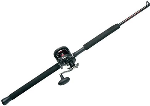 Penn Warfare II Star Drag Conventional Reel and Fishing Rod Combo