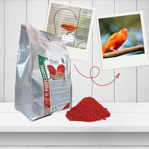 Pineta Formula2 Canary Food 5Lb   Red Factor Bird Supplement for Canaries  Supporting Vibrant Plumage and Optimal Health  Canary Seeds for Birds  Molting and Breeding Season Care