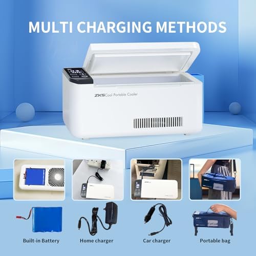 Portable Insulin Cooler Box Smart Rechargeable Mini Medical Case for Insulin  Vaccines  and Medications  36 6 cu in Capacity  LCD Display Travel Drug Cooler for Insulin  FAA Approved