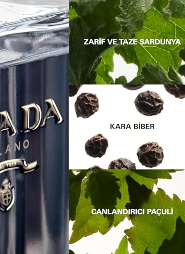 Prada LHomme Eau De Toilette Spray  3 4 Fluid Ounce