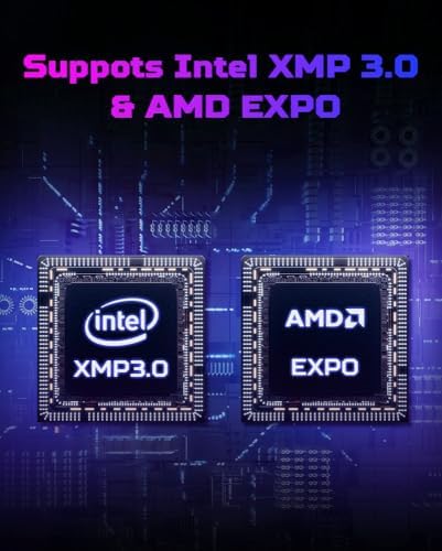 Predator Hermes DDR5 RAM 48GB  24GBx2  6000MHz CL28 PC5 48000 Intel XMP 3 0 AMD EXPO Compatible Computer Memory  Black   BL 9BWWR 661