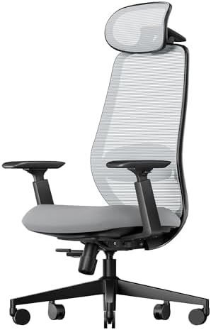 ProtoArc Ergonomic Office Chair   EC200 High Back Mesh Computer Chair with Lumbar Support  3D Adjustable Headrest & Sliding Seat for 8  Hour Comfort  Big & Tall Home Office Desk Chairs   Black