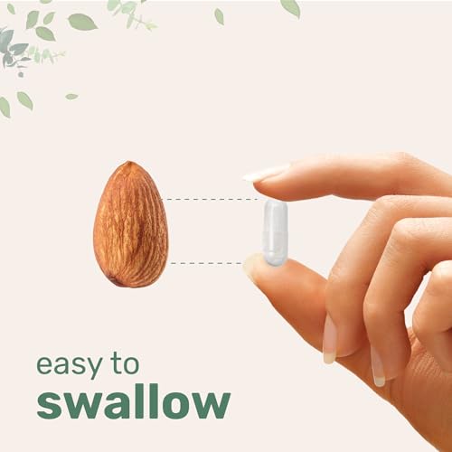 Suplementos de citrato de magnesio puro de 500 mg, 300 cápsulas | Vitamina C soluble en grasa añadida | 100% quelado | Apoya la digestión, la salud muscular y cardíaca | Solo ingredientes activos