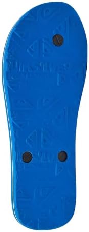 Quiksilver mens Molokai 3 Point Flip Flop Sandals