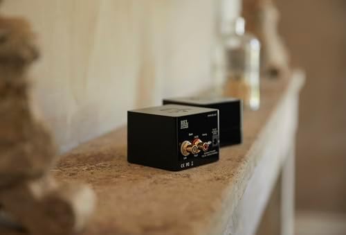 REL Acoustics HT Air MKII Wireless Transmitter and Receiver   Seamless Connection for Home Theater  HiFi Subwoofers  and Surround Sound Systems   Compatible with REL Serie HT and All Models