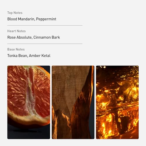 Rabanne 1 Million Eau de Toilette   Long Lasting Designer Fragrance for Men with Mandarin  Cinnamon & Amber   Luxury Mens Perfume Spray  1 7 oz