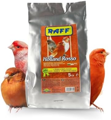 Raff Holland Rosso Canary Red Food   Comida para Canarios   Finch Food for Indoor with Natural Nutrition for Vibrant and Red Plumage  High in Protein and Fat  5lb 