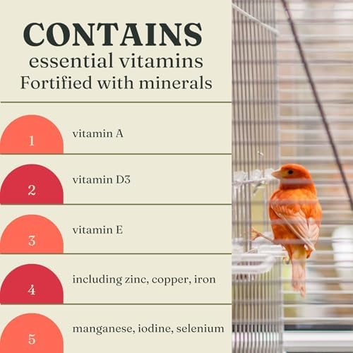 Raff Holland Rosso Canary Red Food   Comida para Canarios   Finch Food for Indoor with Natural Nutrition for Vibrant and Red Plumage  High in Protein and Fat  5lb 