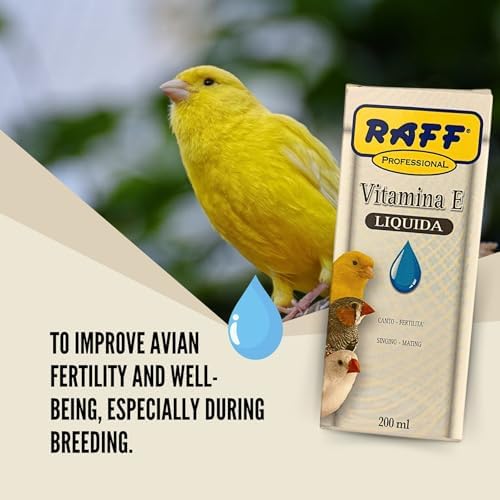 Raff Liquid Vitamin E Supplement for Birds  Sunflower Oils and Fats  Raw Soy Lecithin  Vitamin for Bird  Accessories for Pigeons  Food for Canary  Fertility for Birds  Finch  breeding Bird 200ml
