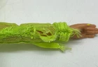 Muñeca Rainbow High Shadow High Lote de 10 Delilah Gabriella Mila Heather Natasha