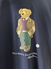 Ralph Lauren Polo Bear Multicolor Hoodie Size Medium Brand New With Tags