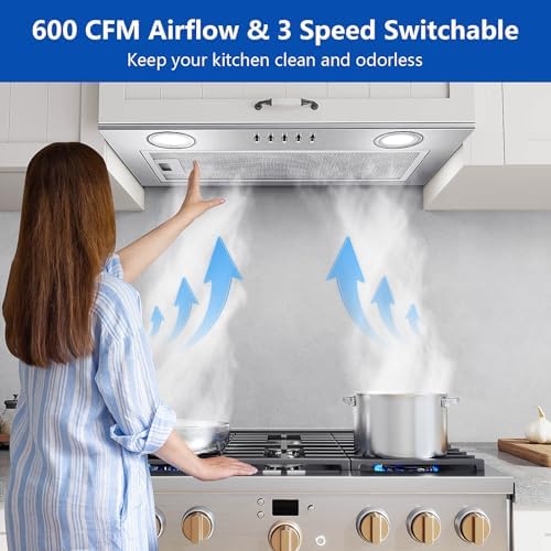 Range Hood Insert 20 Inch Stainless Steel with 5 layer Mesh Filter  Hood Vent for Kitchen Built in Mount Dual LED  Ducted/Ductless Convertible Kitchen Exhaust Fan  Push Button Control