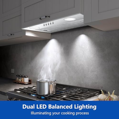 Range Hood Insert 20 Inch Stainless Steel with 5 layer Mesh Filter  Hood Vent for Kitchen Built in Mount Dual LED  Ducted/Ductless Convertible Kitchen Exhaust Fan  Push Button Control