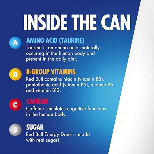 Red Bull Blue Edition  Energy Drink  Blueberry  8 4 Fl Oz Can  Pack of 24 