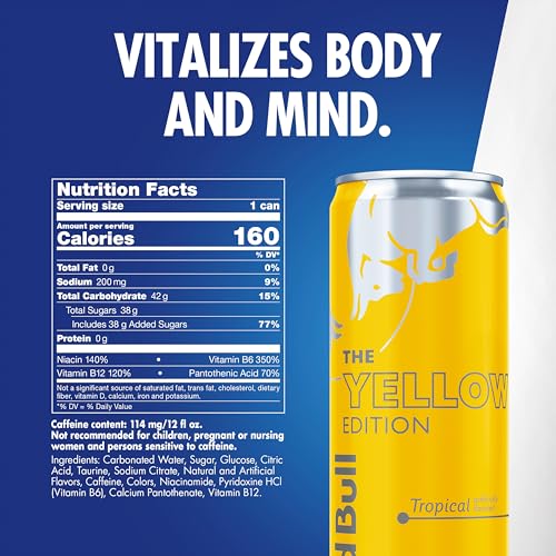 Red Bull Blue Edition  Energy Drink  Blueberry  8 4 Fl Oz Can  Pack of 24 