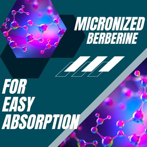 Research Labs 2 Fer 1 Ad   1500mg Clinical Grade Berberine High Absorption Formula & BerberQuil  Support  180 Total Capsules  500mg Each Capsule
