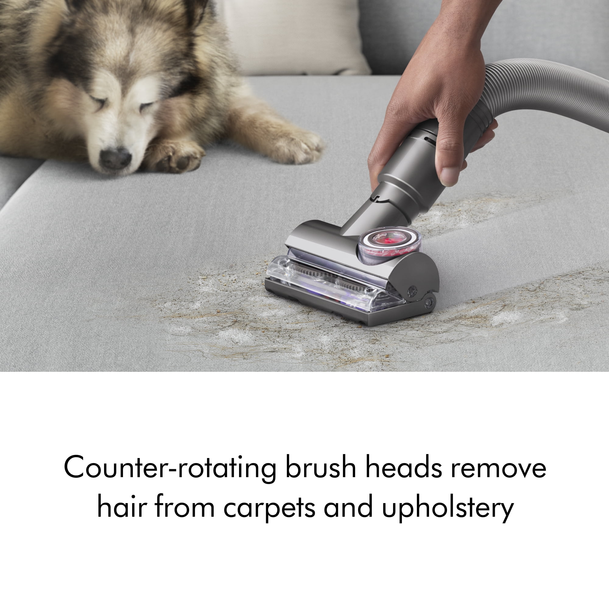 Restored Premium Dyson Ball Animal 3 Upright Vacuum   Nickel/Silver  Refurbished 