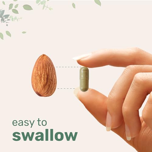 Resveratrol NAD Supplements for Women & Men 3 000mg 240 Veggie Capsules NMHN Supplement Alternative 11 in 1 Antioxidant Blend of Quercetin Moringa & More Immune Heart & Brain Support