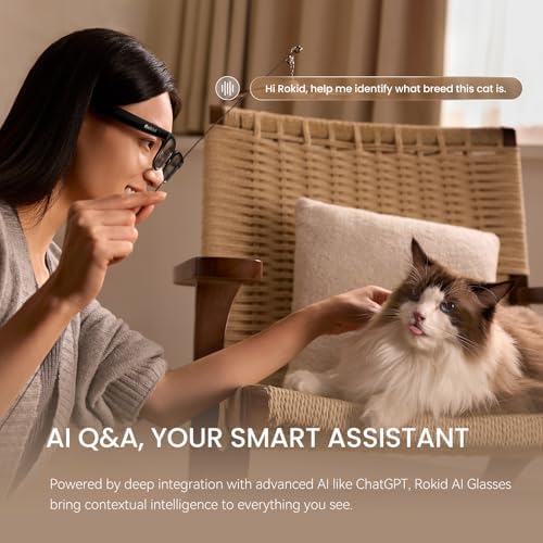 Rokid Ai Glasses Style  Non Display   2026 Smart Audio Sun Glasses with ChatGPT & Gemini  Real Time Translation  12MP Camera  Voice Controlled Assistant  Hands Free Calls  Productivity for Travel