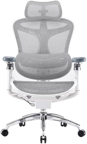 SIHOO Doro C300 Ergonomic Office Chair with Ultra Soft 3D Armrests  Dynamic Lumbar Support for Home Office Chair  Adjustable Backrest Desk Chair  Swivel Big and Tall Computer Chair Black