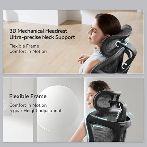 SIHOO Doro C300 Pro Ergonomic Office Chair with Ultra Soft 6D Armrests  Dynamic Lumbar Support  Seat Depth Adjustment  Adjustable Backrest  Big and Tall Desk Chair for Home Office  Black 