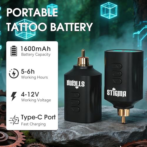 STIGMA Wireless Tattoo Gun Kit Complete Tattoo Kit Tattoo Rotary Pen Set with 2Pcs Tattoo Battery 20Pcs Cartridge Needles 11Pcs Ink Tattoo Machine Kit for Beginners Tattooist ST TKP104A 1
