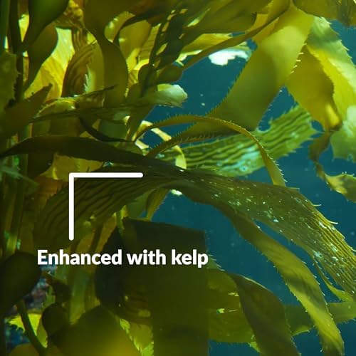 SUPERthrive Plant Vitamin Solution  1 Gallon  Clear