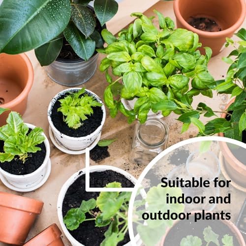 SUPERthrive Plant Vitamin Solution  1 Gallon  Clear